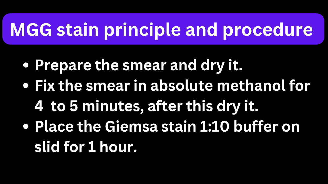 May-grunwald Giemsa Stain Cytology Procedure Archives - Medical Lab ...