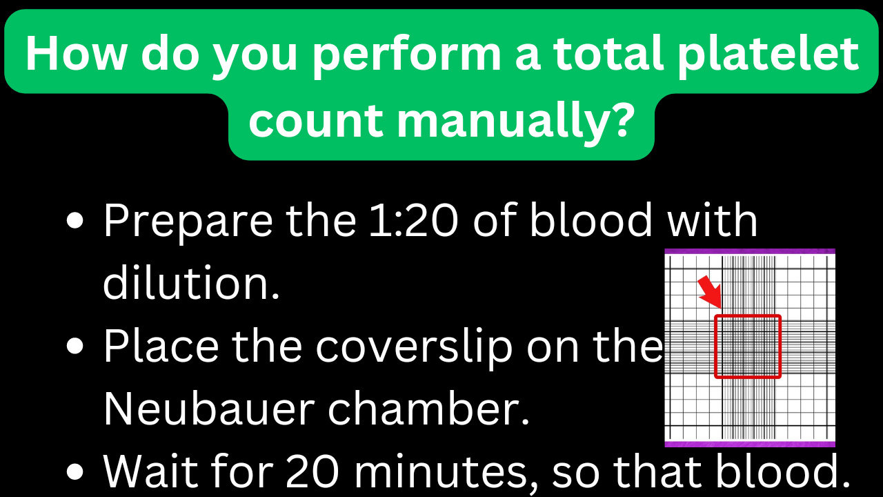 How do you perform a total platelet count manually, formula