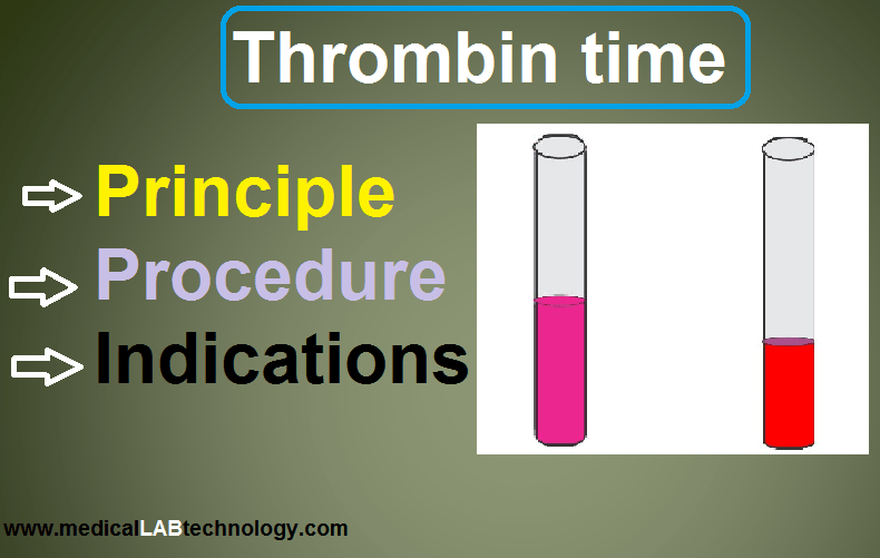 thrombin time principle, procedure