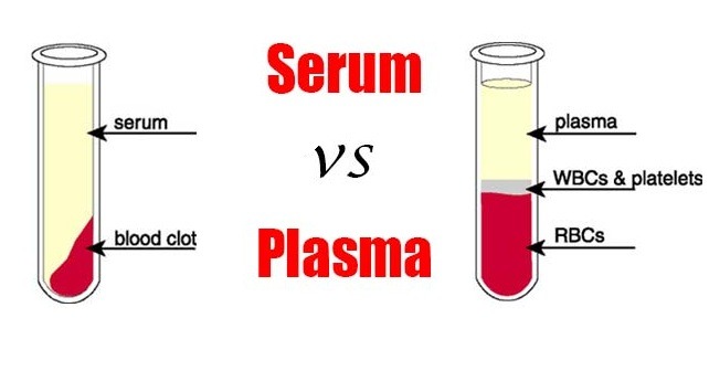 Difference-between-Serum-and-Plasma