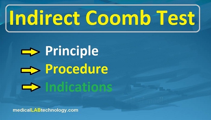 indirect coomb test principle, procedure, indications