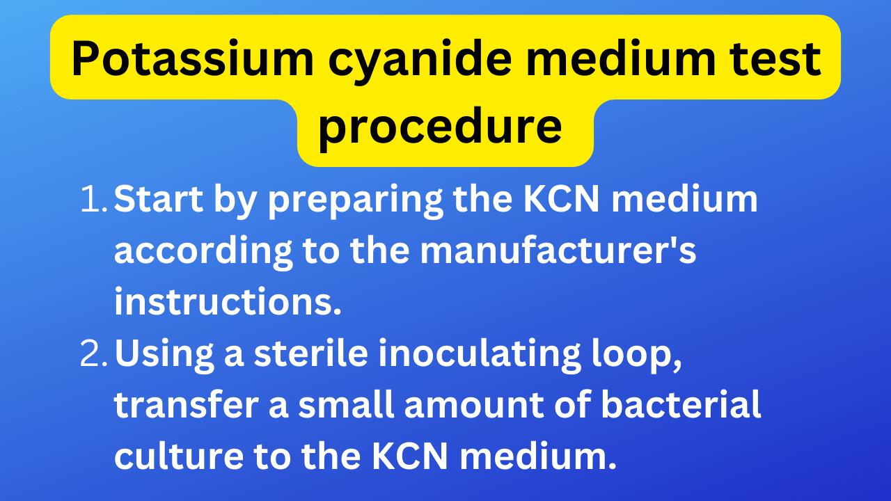 Potassium cyanide medium test procedure (KCN test) microbiology