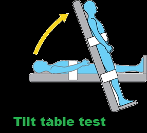 what is tilt table test