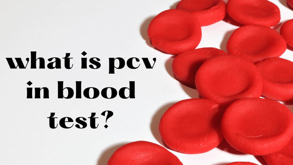 What is pcv in blood test? When pcv increases or Decrease?