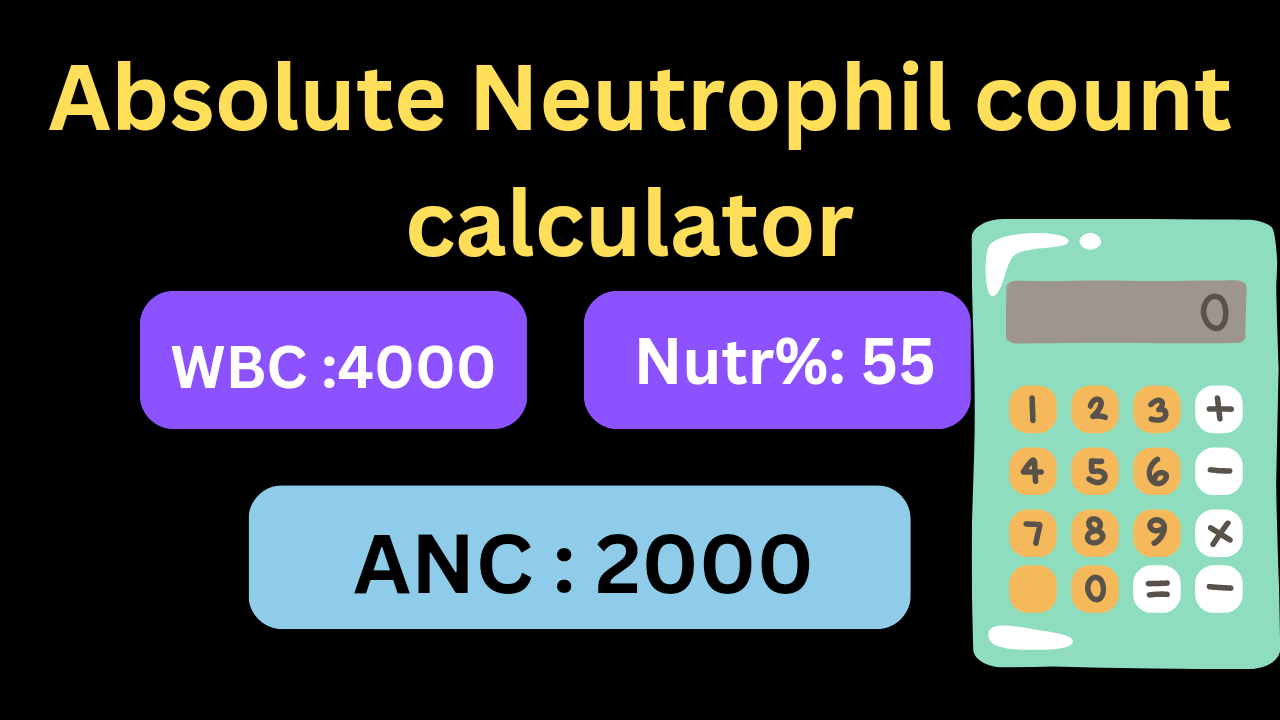 absolute neutrophil count calculator online