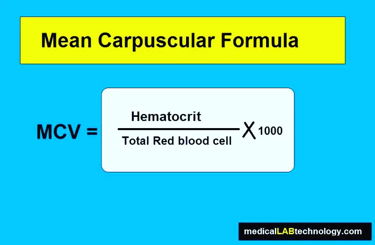 how to calculate mcv