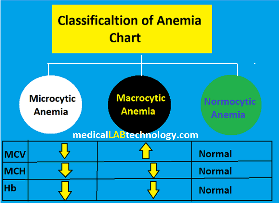 classification-of-anemia-chart