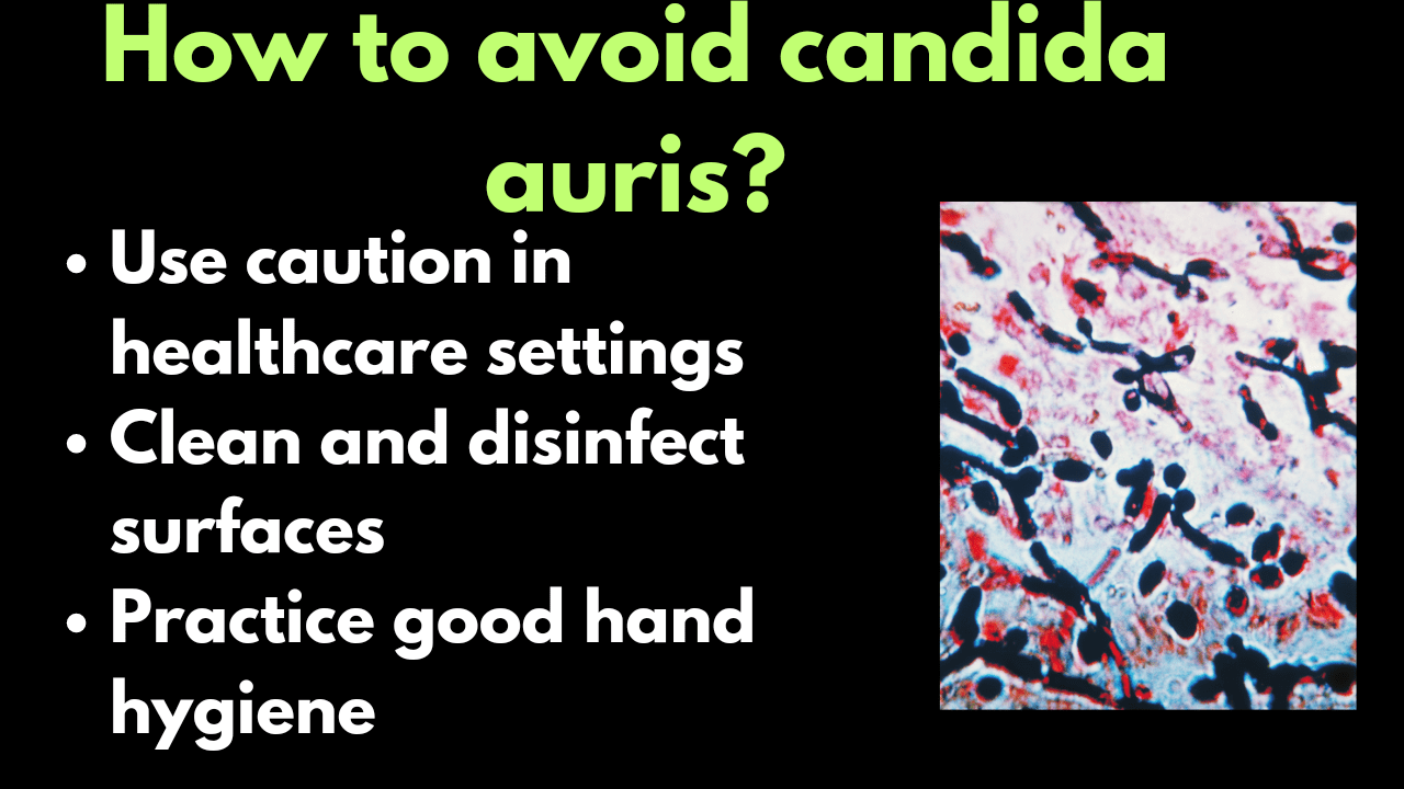 How to avoid candida auris, symptoms