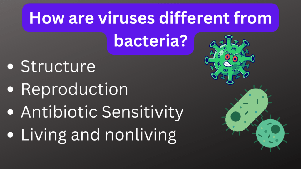 How are viruses different from bacteria apex,  difference between bacteria and virus 