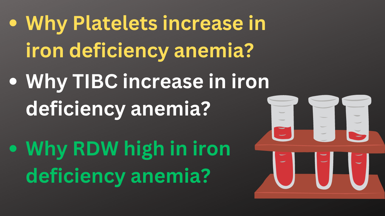 Why Tibc , rdw and platelet increase in iron deficiency anemia?