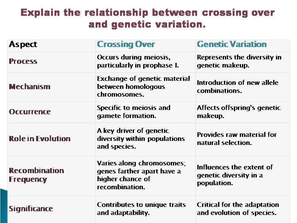 Explain the relationship between crossing over and genetic variation.