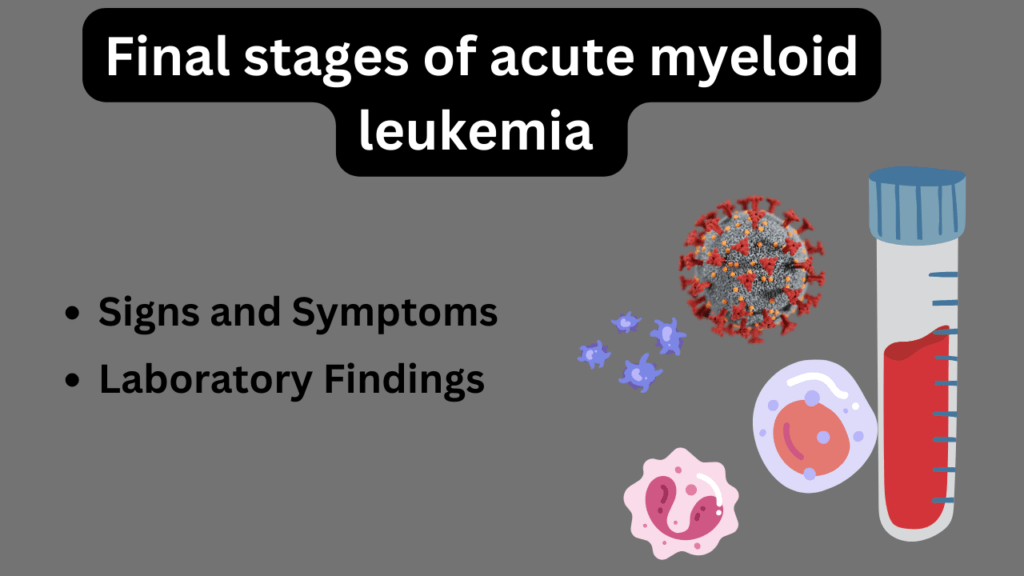 Final Stages Of Acute Myeloid Leukemia Signs, Symptoms, And Laboratory ...