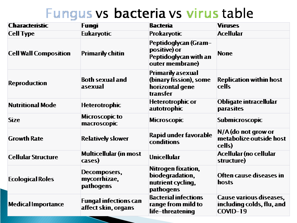 Fungus vs bacteria vs virus table