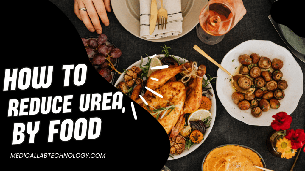 How to reduce blood urea by diet