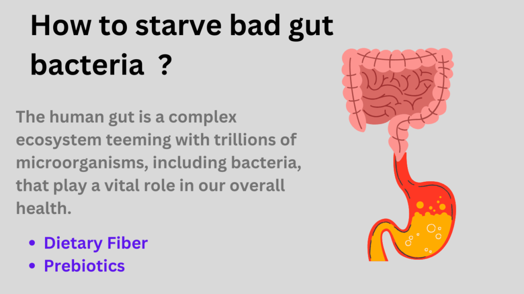 How to starve bad gut bacteria