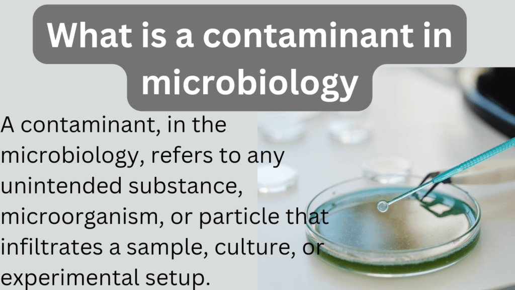 What is a contaminant in microbiology