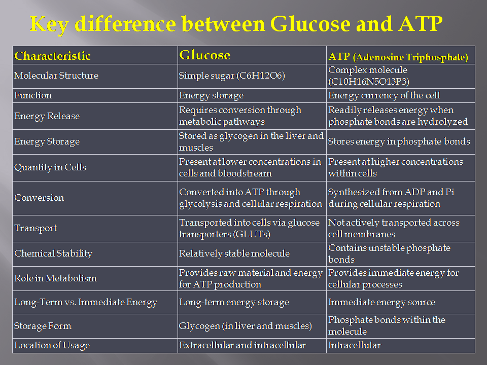 What is the difference between glucose and ATP