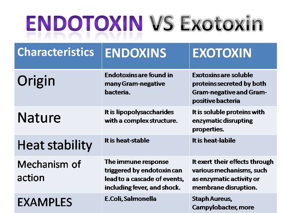 difference between endotoxin and exotoxin in microbiology