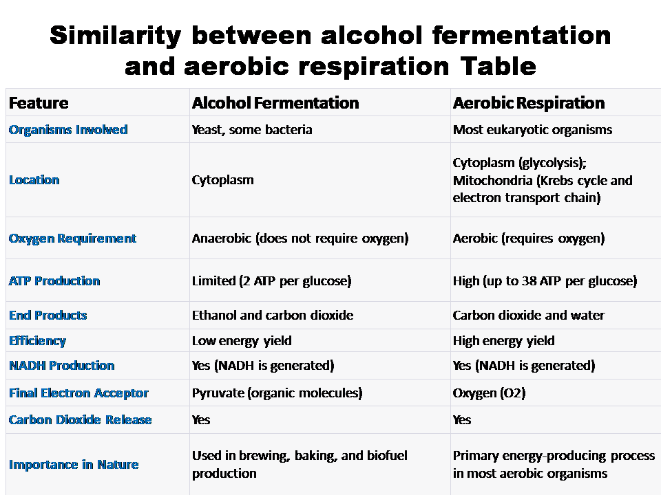 Which is a similarity between alcohol fermentation and aerobic respiration