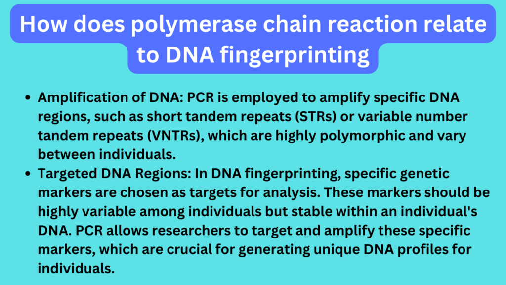 How does polymerase chain reaction relate to DNA fingerprinting