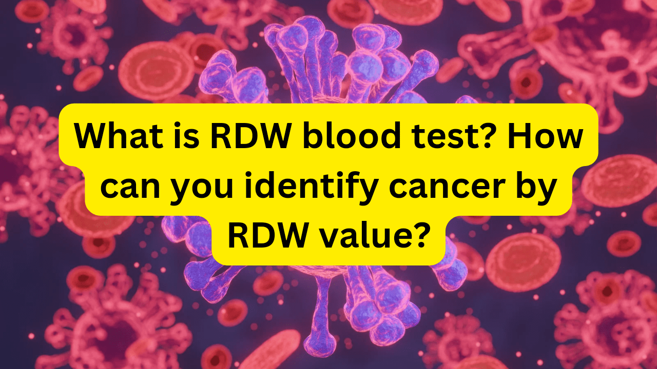 rdw blood test in hindi