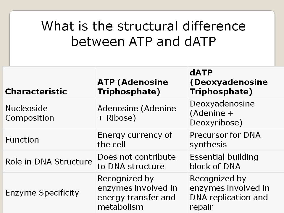 What is the structural difference between ATP and datp