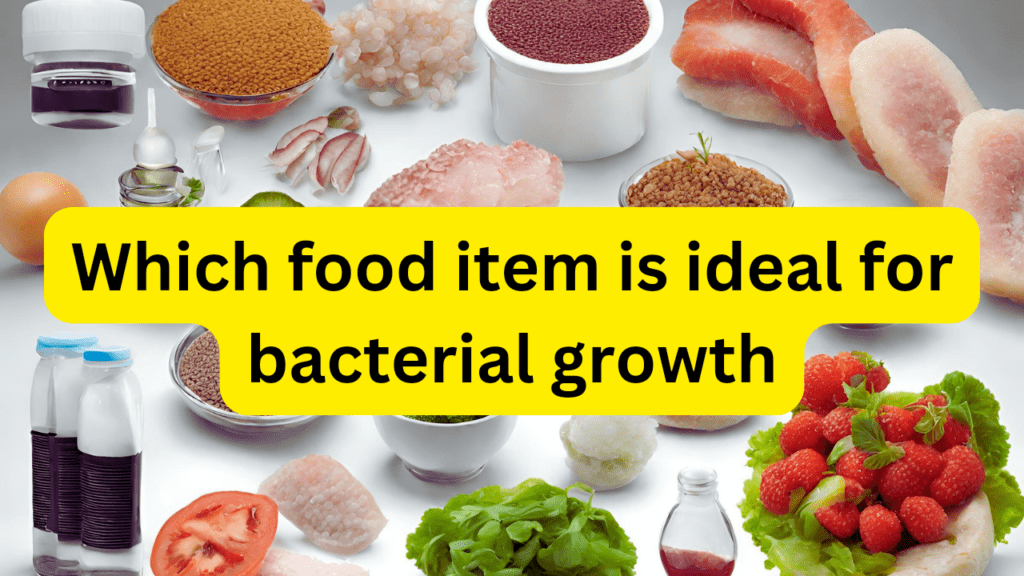 Which food item is ideal for bacterial growth