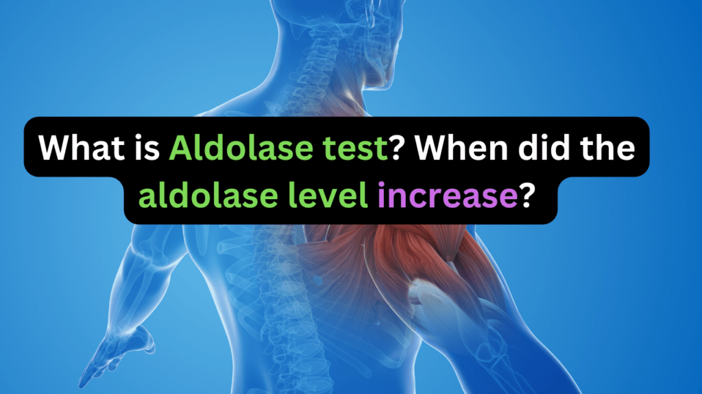 Aldolase test purpose, When did the aldolase test level increase