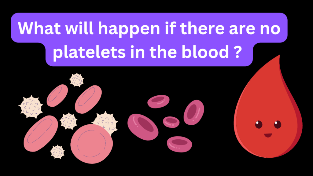 What will happen if there are no platelets in the blood