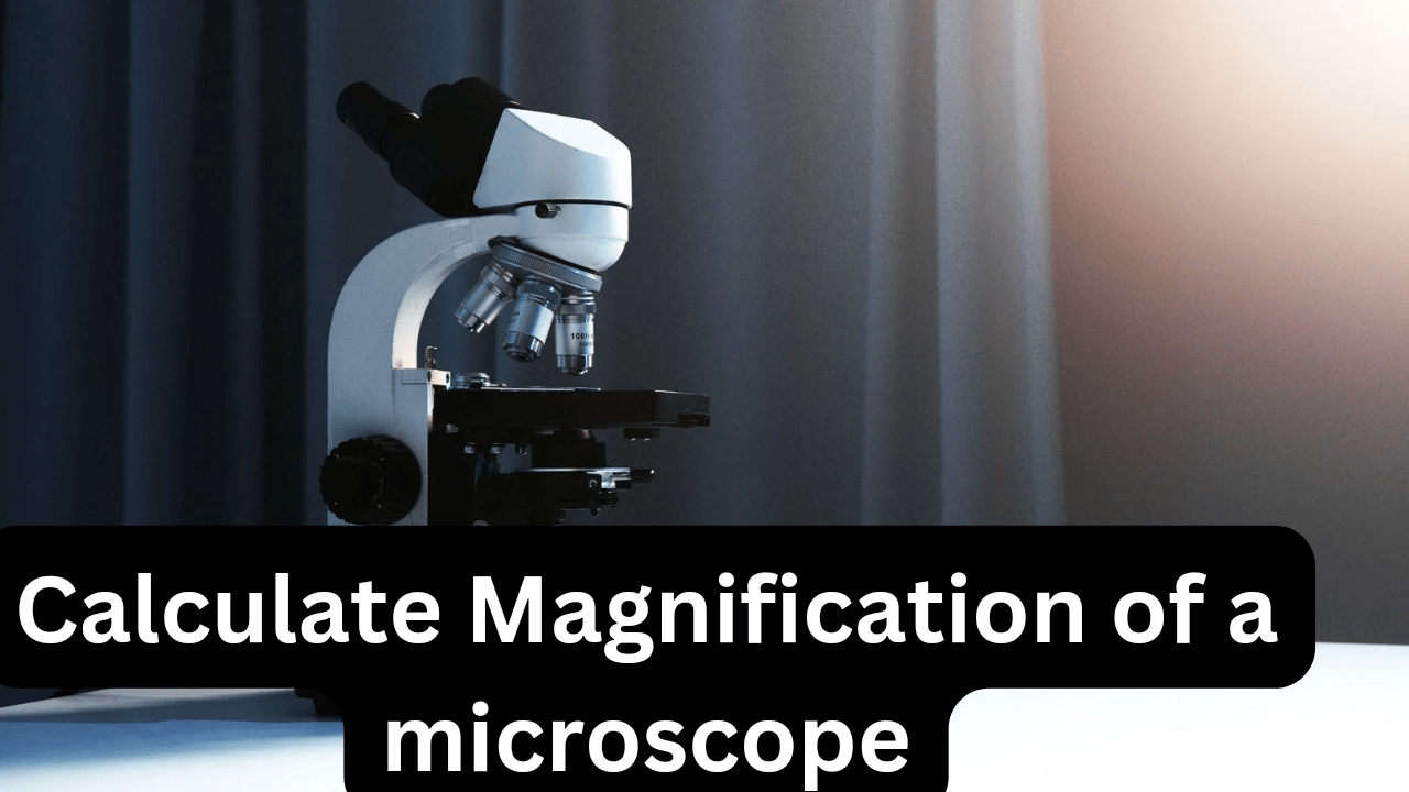 How to calculate magnification of a microscope