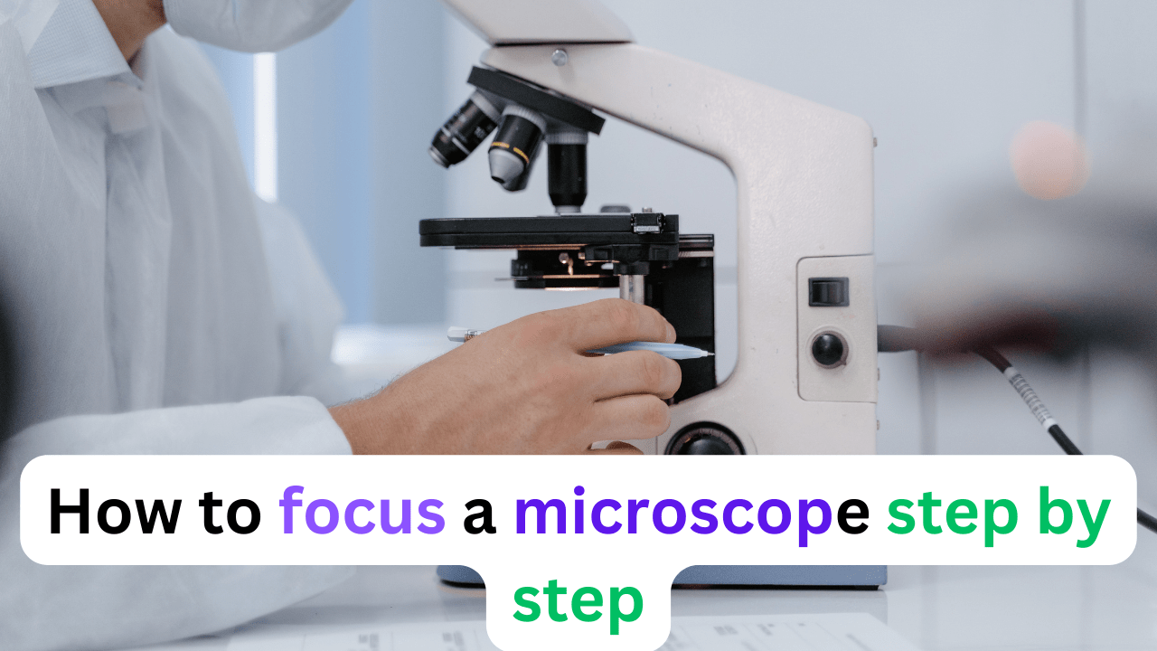 How to focus a microscope step by step