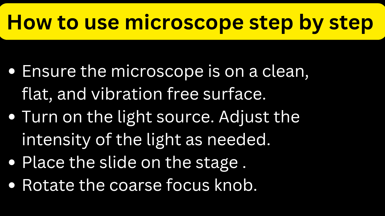 How to use a microscope step by step