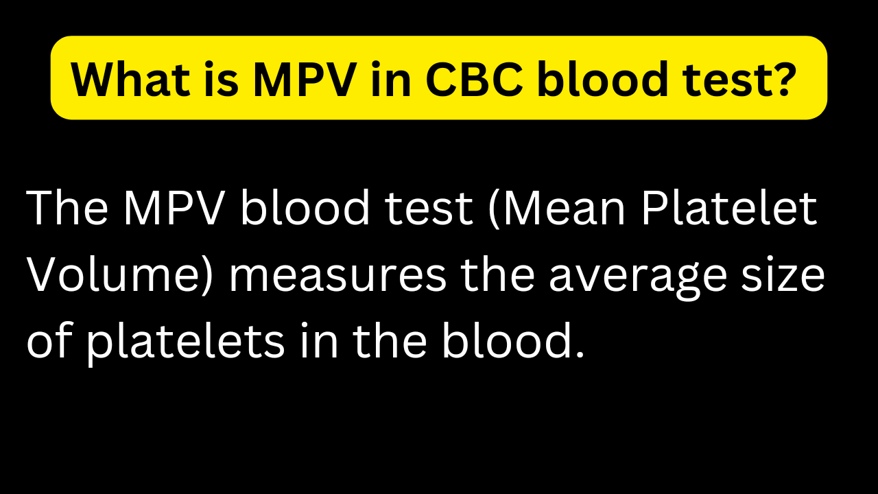 mpv blood test high low mean