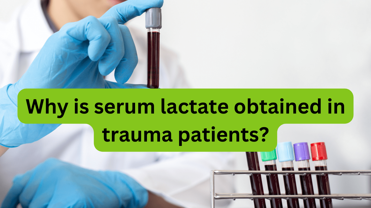 why is serum lactate obtained in trauma patients