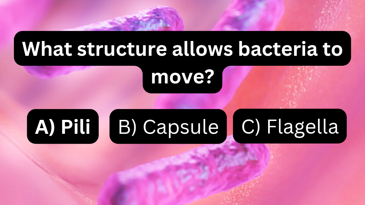 Basic microbiology questions and answers pdf