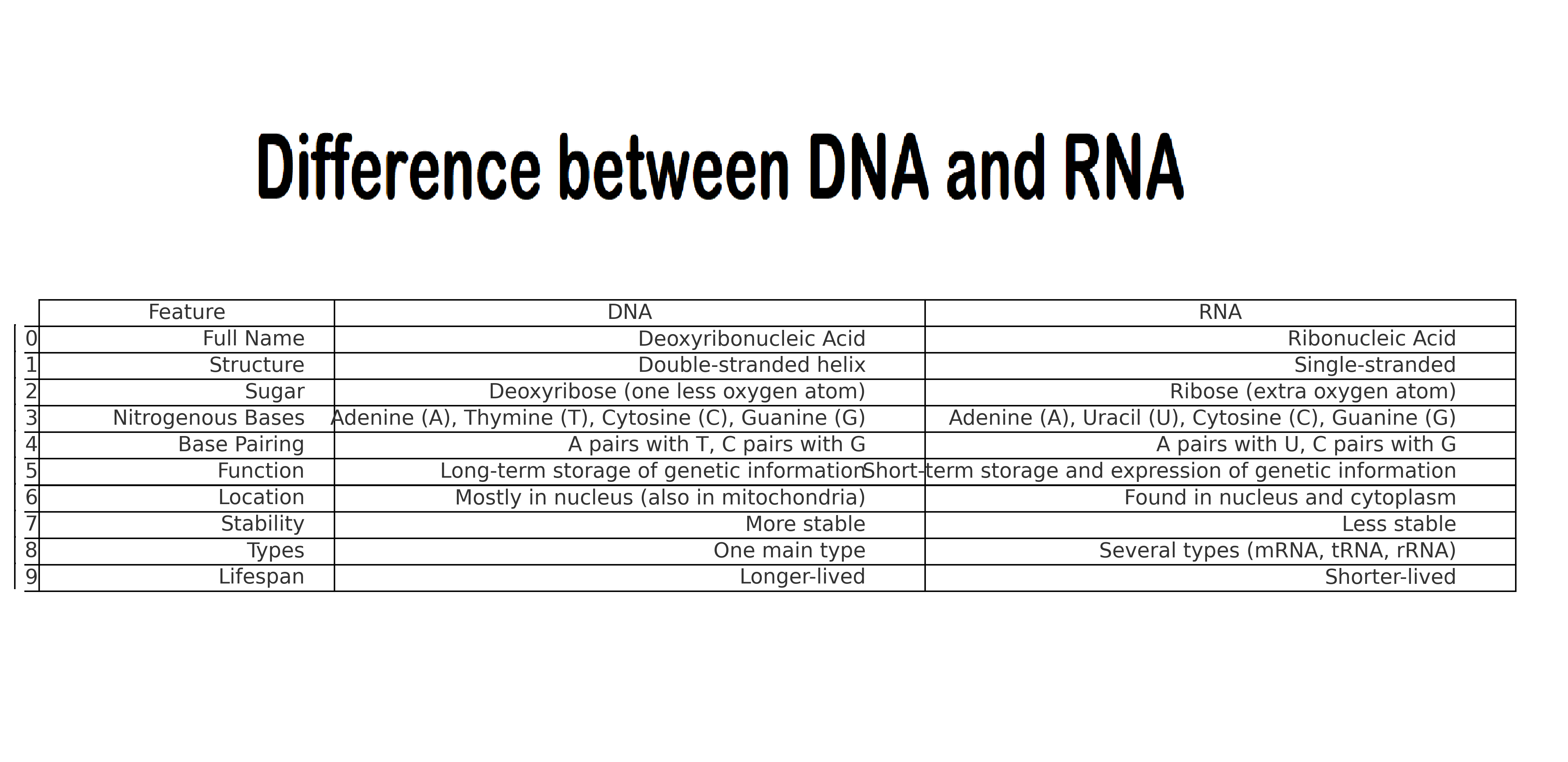 DNA_vs_RNA_Comparison