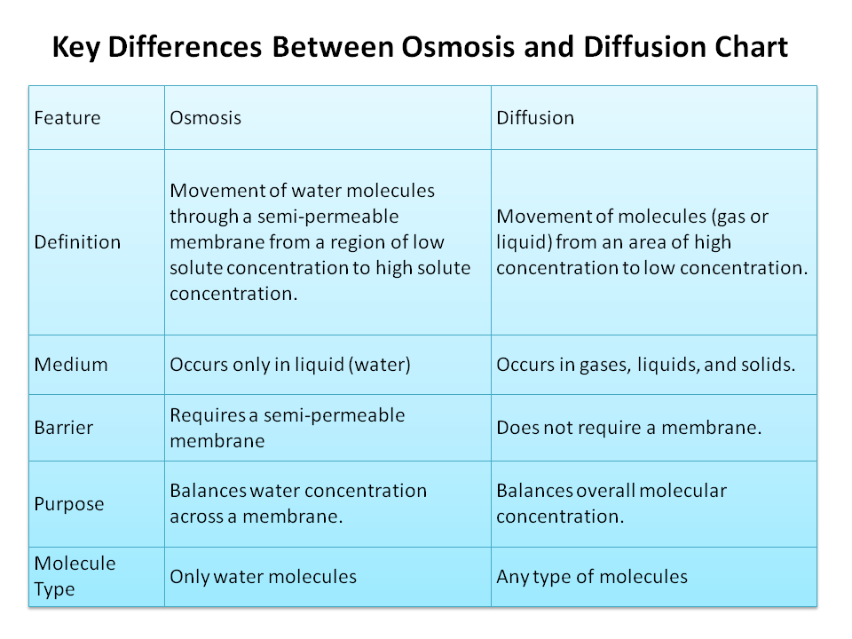 What Is The Difference Between Osmosis And Diffusion