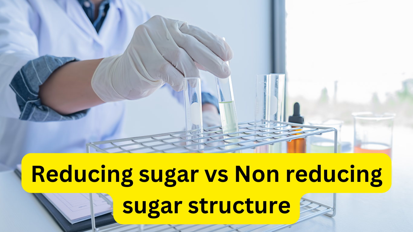 Reducing sugar vs Non reducing sugar structure