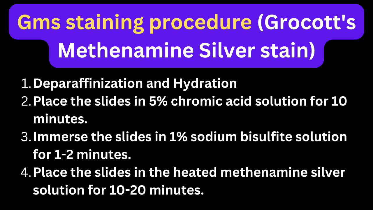 Gms staining procedure (Grocott's Methenamine Silver stain)