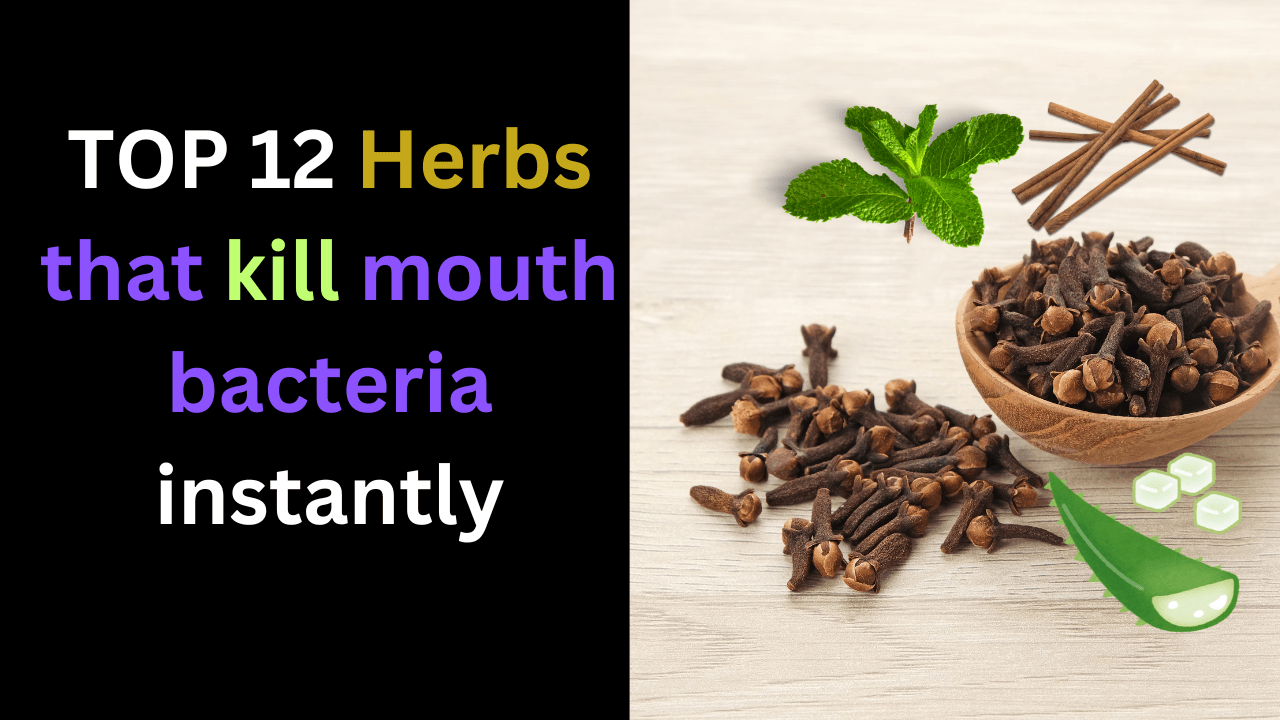 Herbs that kill mouth bacteria