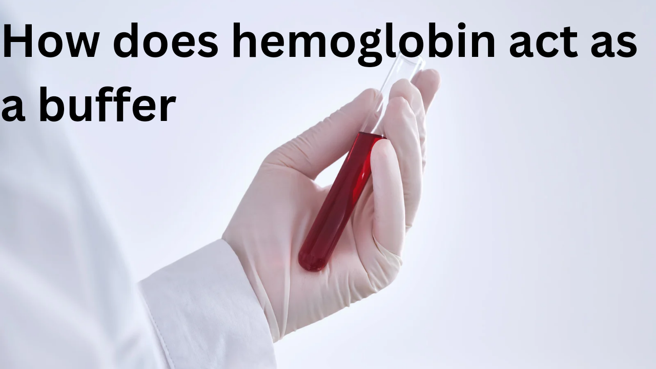 How does hemoglobin act as a buffer