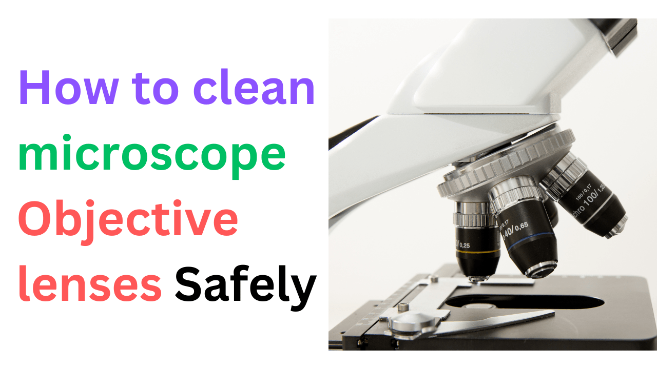 How to clean microscope Objective lenses Safely