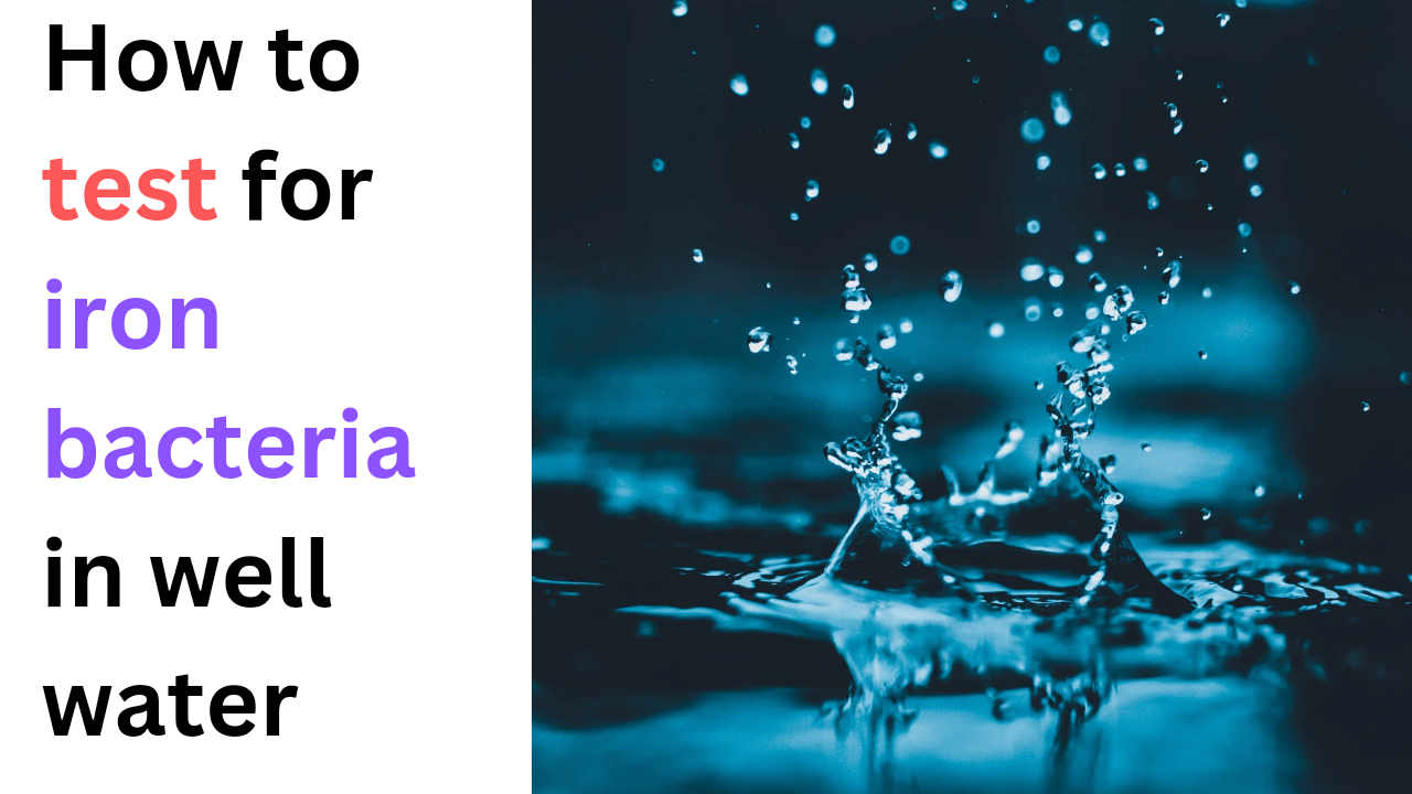 How to test for iron bacteria in well water