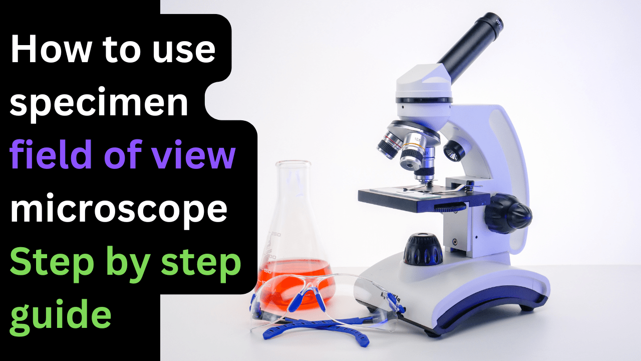 How to use specimen field of view microscope