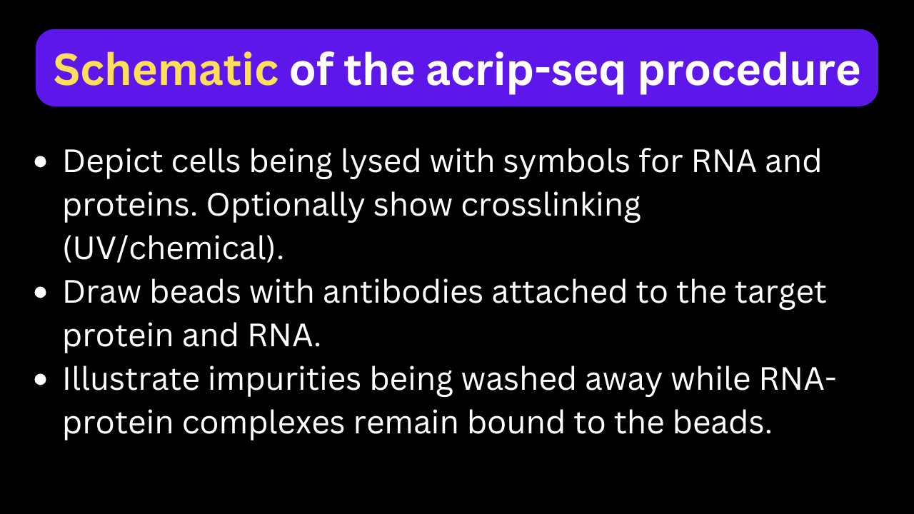 Schematic of the acrip-seq procedure