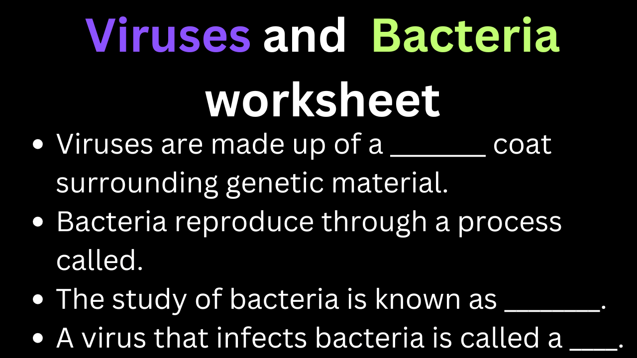 Viruses / Bacteria worksheet