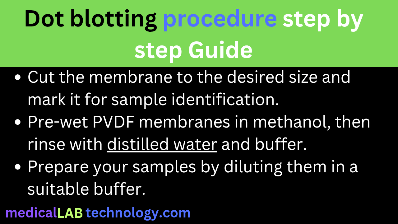 Dot blotting procedure step by step Guide