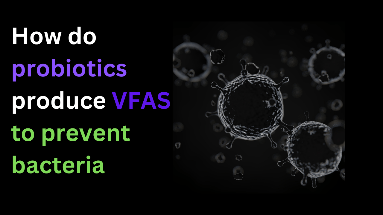 How do probiotics produce vfas to prevent bacteria