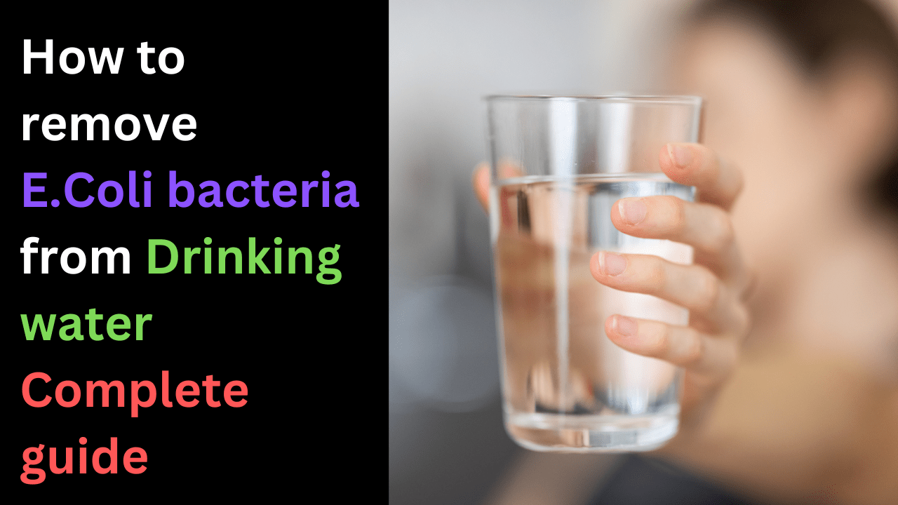 How to remove e coli bacteria from water complete guide