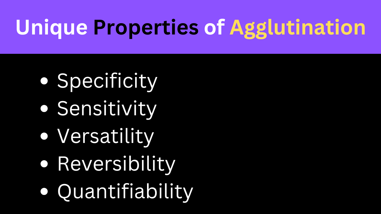 Properties of Agglutinations